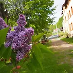 Zacisze Trzech Gor Jedlina-Zdroj