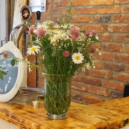 Zacisze Trzech Gor * Jedlina-Zdrój