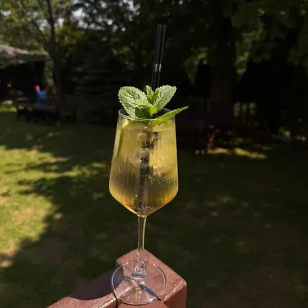 Zacisze Trzech Gor- Klimatyczne I Restauracja 팜스테이