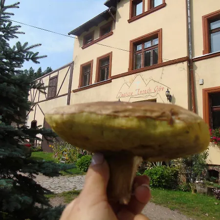 Zacisze Trzech Gor * Jedlina-Zdrój