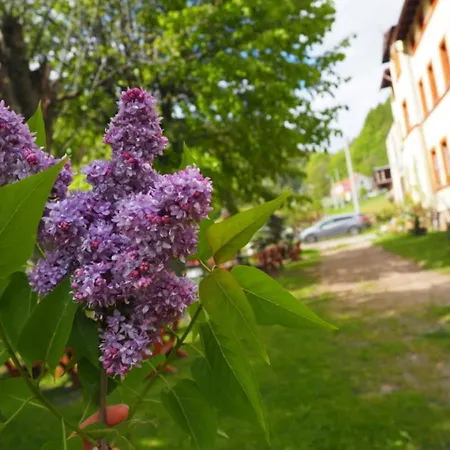 Zacisze Trzech Gor Jedlina-Zdrój
