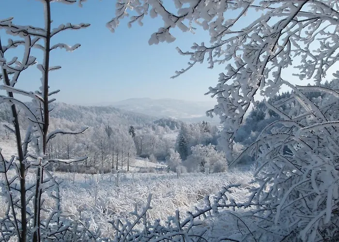 Zacisze Trzech Gor * Jedlina-Zdroj