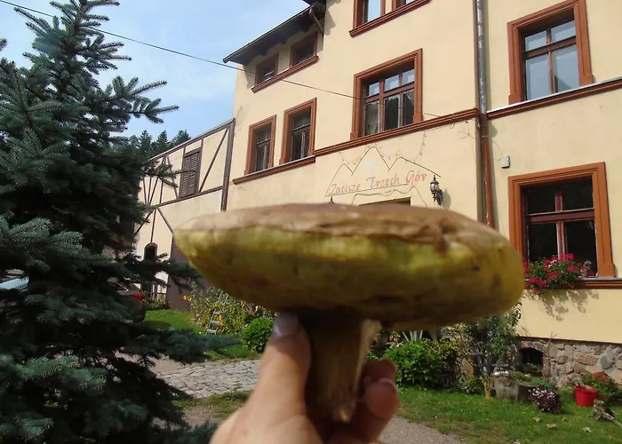 Zacisze Trzech Gor * Jedlina-Zdroj