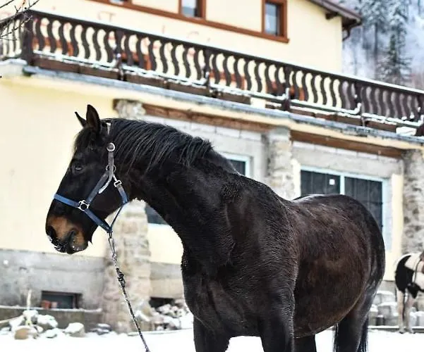 Zacisze Trzech Gor Farm stay Jedlina-Zdroj