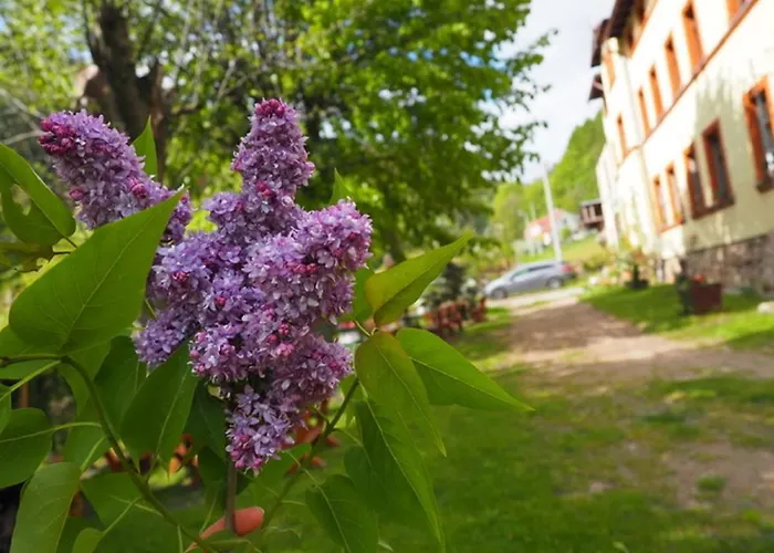 Zacisze Trzech Gor Jedlina-Zdroj